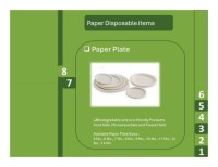 Paper Plate