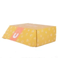 Custom Printed Color Corrugated Shipping Box with Fancy Design