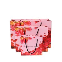 colorfull paper gift bag for the Ladies store