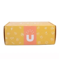 Custom Printed Color Corrugated Shipping Box with Fancy Design