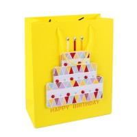 3D Cmyk Colorful Printed Custom Cheap Paper Gift Bag
